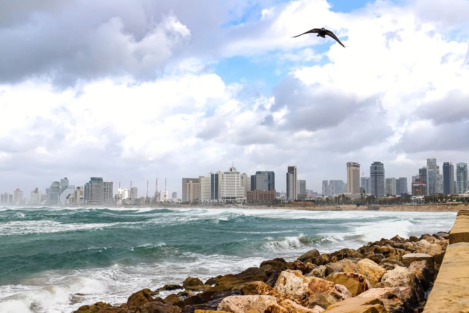 The Tel Aviv coastline on a stormy day, the city's office towers standing behind the beach