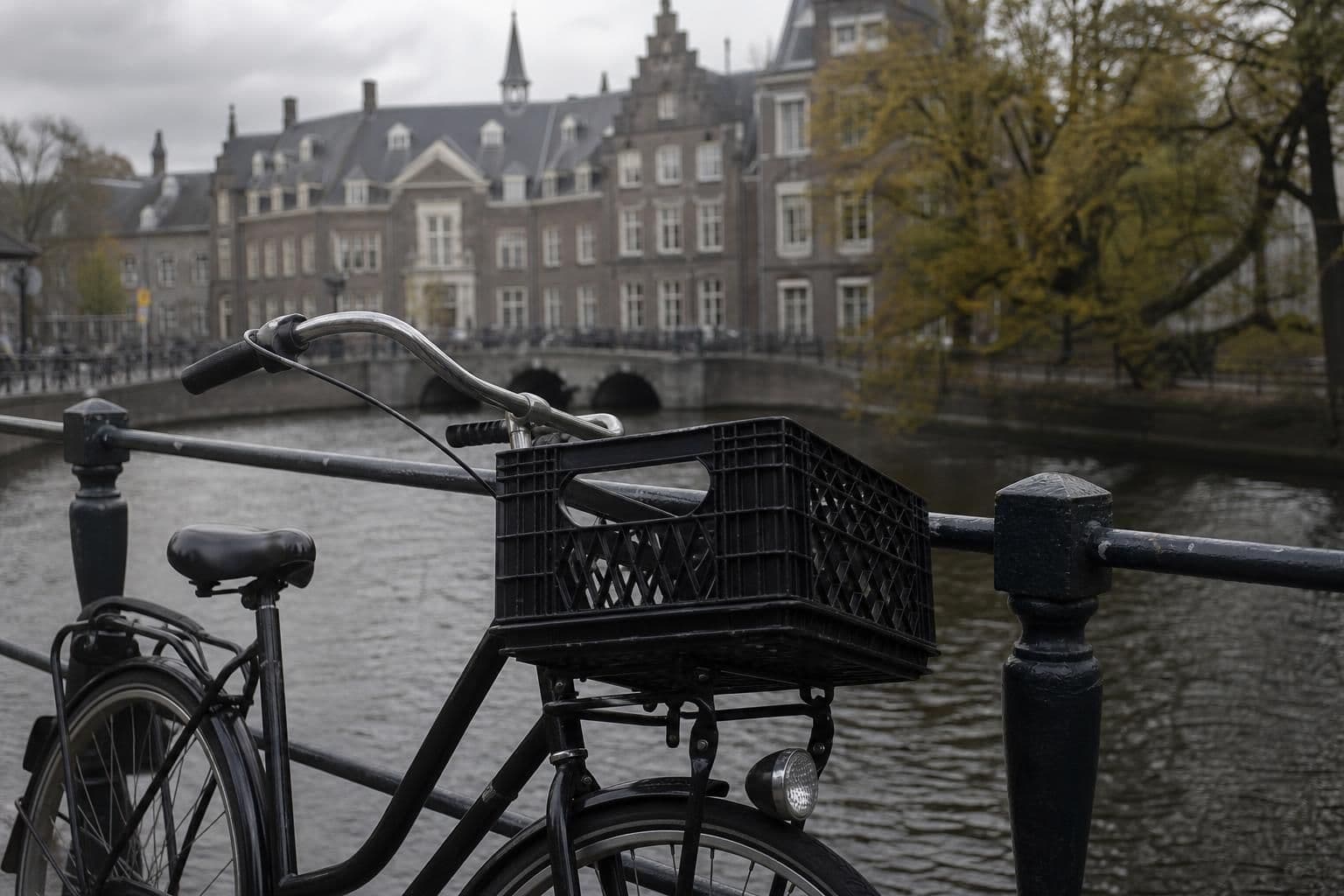 How International Students Can Study in the Netherlands in 2026